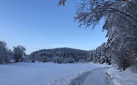 Eschachblick